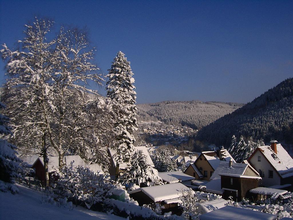 Gasthof Am Waldesrand Ilmenau